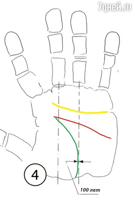 Хиромантия: читаем характер по линиям на руке | theGirl