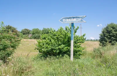 File:Зелений Гай (Маньківський р-н). Поворот на село.jpg - Wikipedia