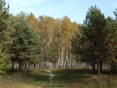 График работы поликлиники и Сall-центров ГБУЗ «ГБ» г. Гая » Гай ру —  новости, объявления