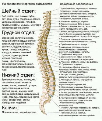 О гайморите замолвите слово - ЯПлакалъ