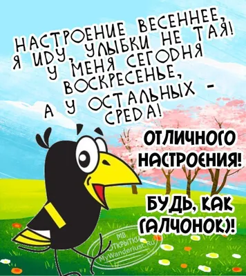 Галчонок, с Днем Рождения! В этот прекрасный | Новости | Волжский | Блокнот