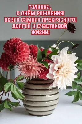 Поздравляем с Днём рождения учредителя нашего Фонда – Екатерину Аханову! -  ГАЛЧОНОК