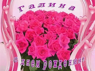 Открытка с именем Галечка С днем рождения розовая роза для родных. Открытки  на каждый день с именами и пожеланиями.
