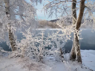 Галина Мороз (Halyna Moroz) биография, фильмы, спектакли, фото | Afisha.ru