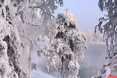 Тольяттинская Снегурочка: история, система закаливания, фото, как сейчас  выглядит - KP.RU