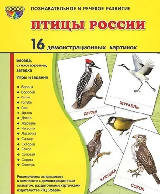 Иллюстрация 1 из 11 для Галка - Борис Житков | Лабиринт - книги. Источник:  Лабиринт