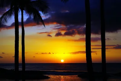 Гавайские острова, Соединенные Штаты Америки — города и районы, экскурсии,  достопримечательности Гавайских островов от «Тонкостей туризма»