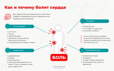 Как болит сердце: стенокардия, инфаркт, аневризма | Академия врачей UNIPROF  | Дзен