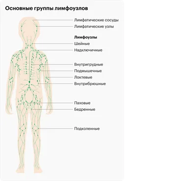 Увеличены лимфоузлы у ребенка: причины, что делать, как лечить  лимфаденопатию