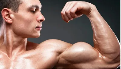 Анатомия мышц плечевого пояса. Точки крепления. Силовые упражнения. |  Trener_Zaycev | Дзен
