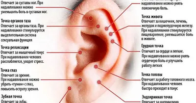 Женщины и ученые в поисках точки G | Румянцева, md