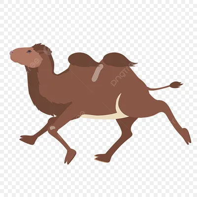 Команда верблюдов в Желтой пустыне Фон И картинка для бесплатной загрузки -  Pngtree