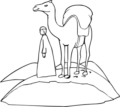 Camel Head Isolated On White Background. Vector Illustration. Eps 10.  Фотография, картинки, изображения и сток-фотография без роялти. Image  203693298