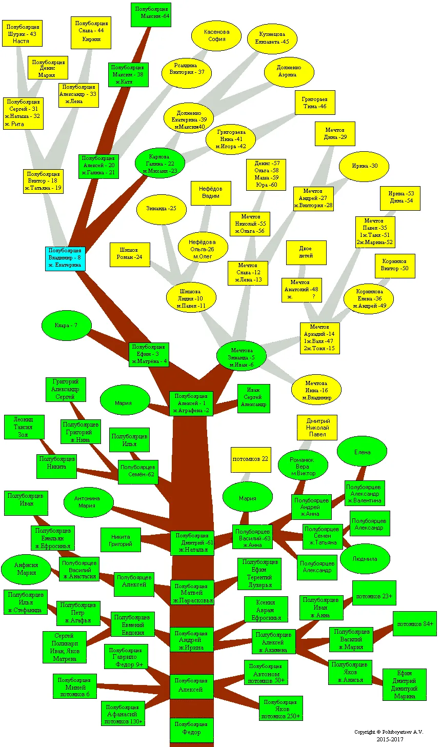 Генетика деревьев