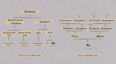 Генеалогическое древо семьи - фото и картинки: 67 штук