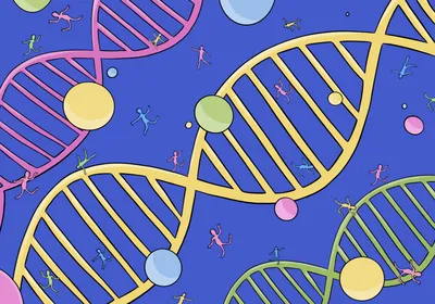 Google запустил проект по изучению генетики человека — РБК