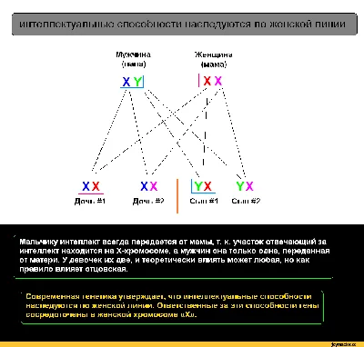 Генетика: истории из жизни, советы, новости, юмор и картинки — Все посты,  страница 3 | Пикабу