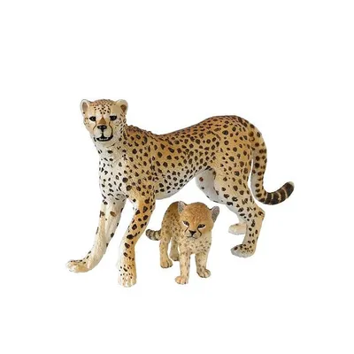 Гепард (Cheetah) | Раскраска для детей: 30 разукрашек распечатать