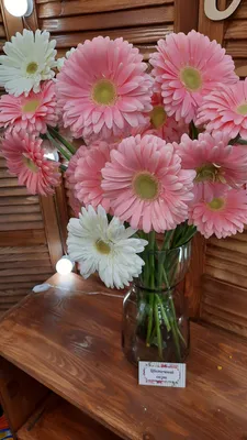 Герберы (9 штук в упаковке крафт) - Доставка свежих цветов в Красноярске
