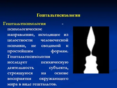 Гештальтпсихология и гештальт-терапия: как они связаны.