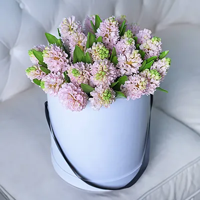 гиацинт синие и розовые свежие цветы крупным планом гиацинт свежие цветы  Фото Фон И картинка для бесплатной загрузки - Pngtree