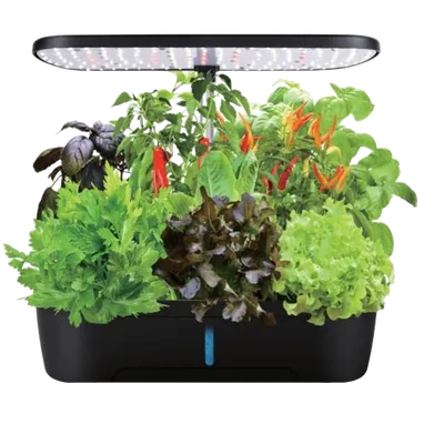Шар, Садовые принадлежности, украшение для дома, гидропоника, горшок для  растений, стеклянная ваза, контейнер для террариума, подвесное стекло |  AliExpress