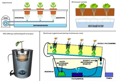 Гидропоника - Floragrow.ru