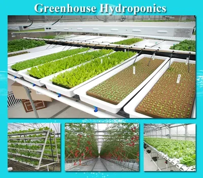 Проэкты | Hydroponics