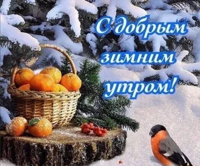 Картинки с добрым утром и хорошим днем зимние (43 фото) » Красивые картинки,  поздравления и пожелания - Lubok.club