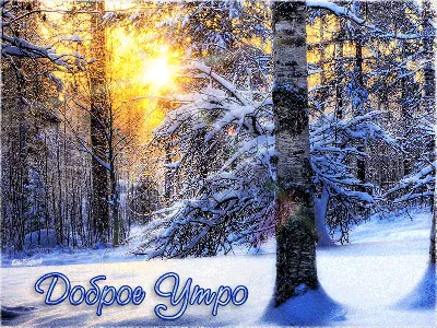 Открытки открытка гиф с пожеланием доброго зимнего утрадоброе утро зима