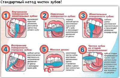 ПРОФЕССИОНАЛЬНАЯ ГИГИЕНА ПОЛОСТИ РТА У ДЕТЕЙ Разница, очевидна.  Профессиональная гигиена полости в нашей с.. | ВКонтакте