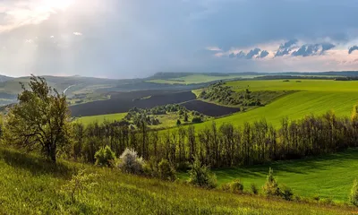 Фотография гигромы кисти руки: на поздней стадии