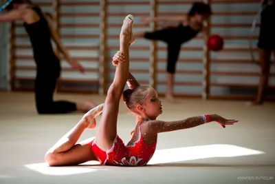 Украинские гимнастки осмелились выступить в России. И на родине прошли  через ад