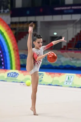 Федерация художественной и эстетической гимнастики Хакасии организовала  онлайн-тренировки (ВИДЕО) | Министерство физической культуры и спорта  Республики Хакасия