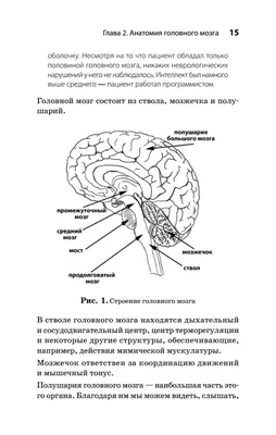 https://lubok.club/otkr/rabota/print:page,1,2147-otkrytki-pri-rabote-s-afaziej-80-foto.html