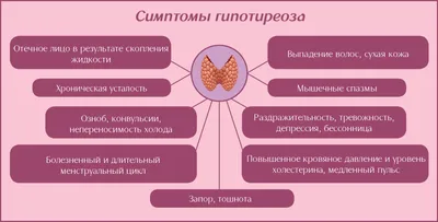 ЧТО ТАКОЕ ГИПОТИРЕОЗ? - vahanageghdz.am