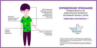 Страсти по щитовидке. Аутоиммунный тиреоидит, гипотиреоз Эксмо 144122613  купить за 433 ₽ в интернет-магазине Wildberries