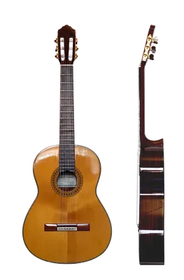 Виды гитар и их различия. Какие есть гитары? Отвечает Volya School