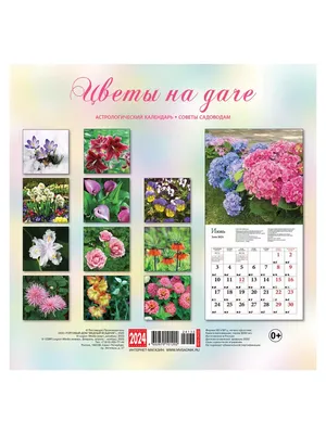 Календари: Календарь на скрепке \"Цветы на даче\" на 2022 год ( КР10-22133) -  купить в интернет-магазине «Москва» с доставкой - 50042419