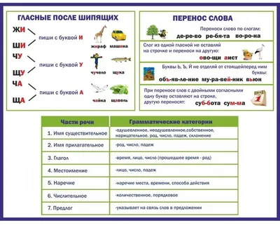 Издательство АСТ Русский язык: словарные слова