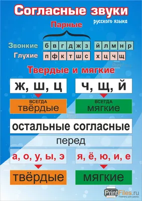 Плакат Звуки русского языка А2 вертик Гласные Согласные . 941 , Мир  поздравлений 2019г. 57,50р.