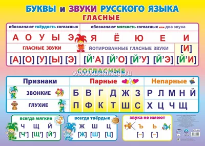 Учебный плакат. Буквы и звуки русского языка. Гласные и согласные: Формат  А2 – купить по цене: 90 руб. в интернет-магазине УчМаг