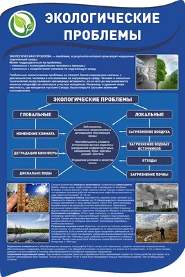 Александр Таргаев - Глобальные экологические проблемы актуальны для России.  Следует признать, что страна является одной из самых загрязненных в мире.  Это сказывается на качестве жизни и пагубно влияет на здоровье людей.  Возникновение