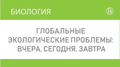 Экологические проблемы современности», в рамках программы «Охрана  окружающей среды» — МБУ Библиотека Первомайского Сельского Поселения