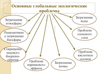 Экоуроки в «Школе «Таурас» - Школа Таурас 2023