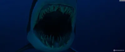 Глубокое синее море» (The Deep Blue Sea, драма, мелодрама, австралия,  великобритания, 2011) | iTV.uz - ТВ, фильмы и сериалы в TAS-IX в лучшем  качестве.
