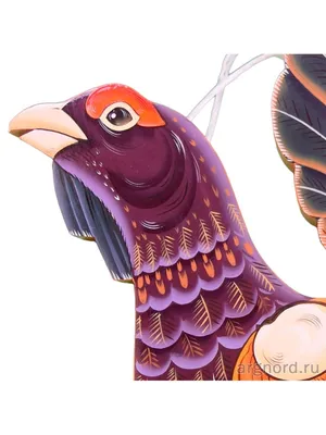Раскраска Глухарь | Раскраски птиц. Картинки птиц, рисунки птиц