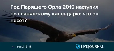 Иллюстрация Парящий Орел - покровитель 2019 года в стиле