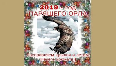 Парящий Орел — символ 2019 года: Персональные записи в журнале Ярмарки  Мастеров