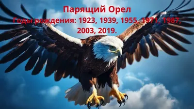 Схема для вышивки крестом \"Славянский гороскоп\" Парящий орел - Авторские  схемы для вышивки Антонины Третьяковой